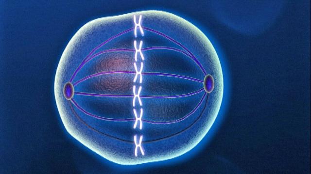 9 этапов «свидания», когда вы женаты с детьми