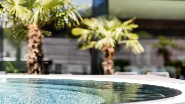 3 способа поблагодарить профессора