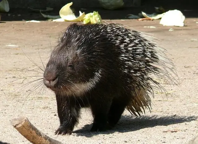 Как открыть ипотечную компанию (с иллюстрациями)