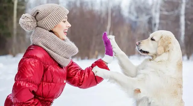 3 способа, как помет не скучать в лапках вашей кошечки