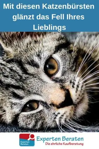 Как сделать шубу вашей лошади сияющей: 13 шагов (с иллюстрациями)