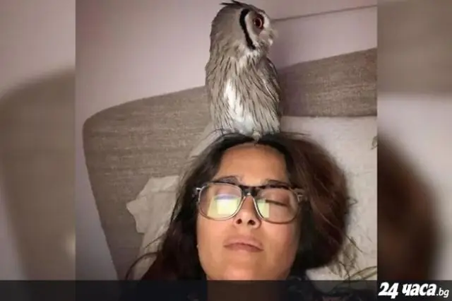 Вы видели медную сову?