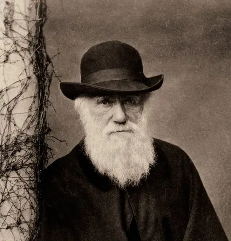 Изменила ли наука мозг Дарвина?