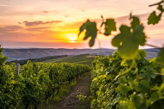 Новый дом за 13,7 сделай 13,8