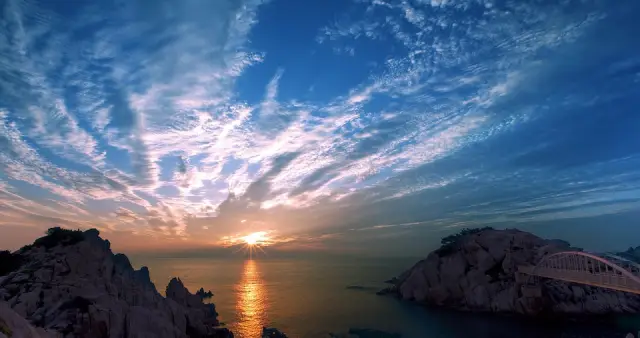 Хронология бессмертия, или неочеловечества