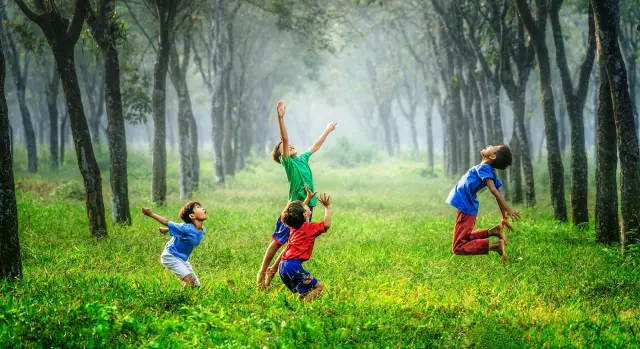 5 вех экологического движения