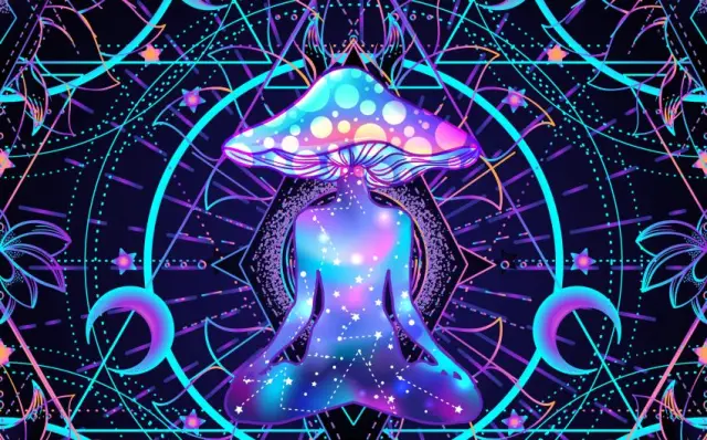 Исследования: одна доза «псилоцибина» из волшебных грибов снимает депрессию у 80% больных раком