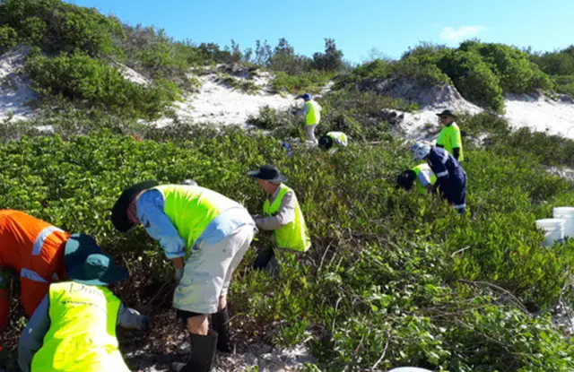 Мессианские движения, вдохновившие «Дюну»