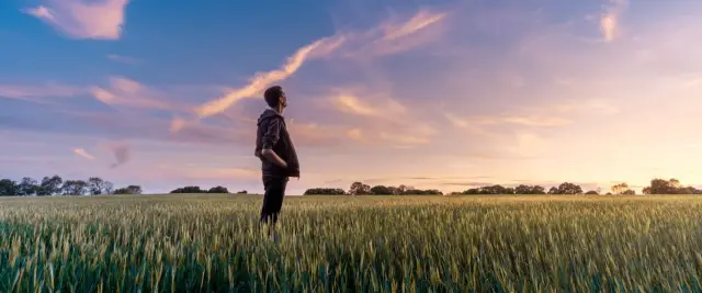 Как изменение климата повлияет на качество продуктов питания