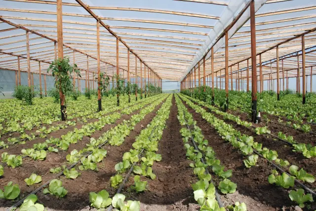 О садоводстве данных