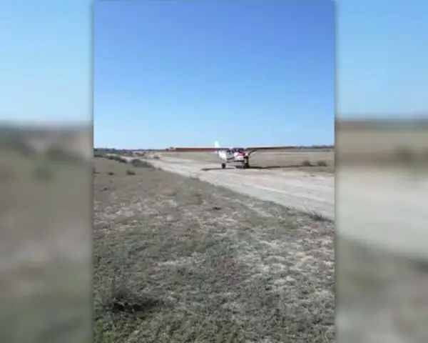 Должен ли кокус Айовы быть выброшен на пастбище?