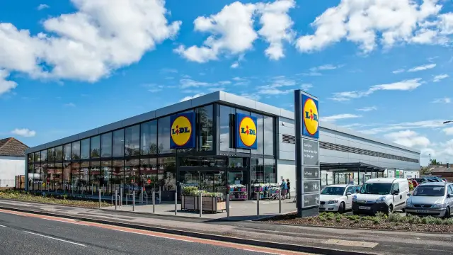 Млекопитающие мечтают о мире, в который они входят, еще до рождения