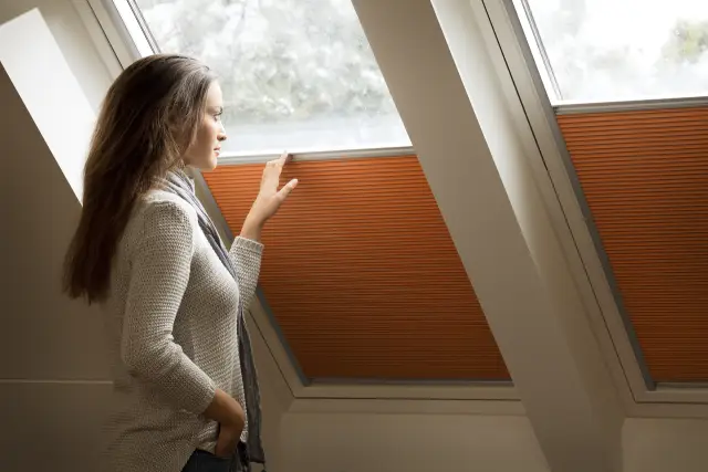 Депрессивные рыбы могут показаться вам шуткой, но для них это серьезно