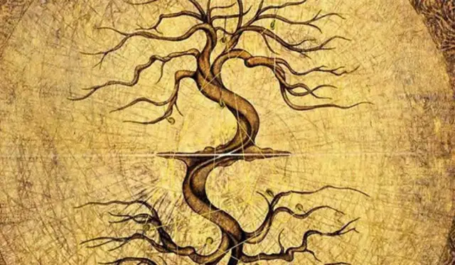 Пусть осознанность подпитывает ваш режим упражнений