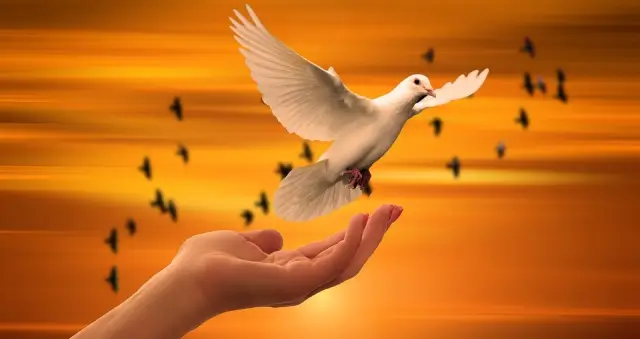 Немного трусости - это плохо. Многое приводит к миру