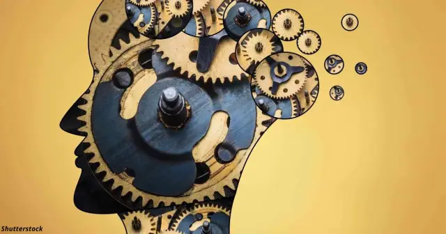 Почему ваш разум не всегда рационален