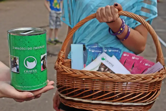 Онлайн-чат возрождает общение как искусство