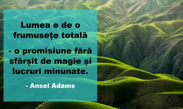 Экономика против художественной литературы о человеческой природе