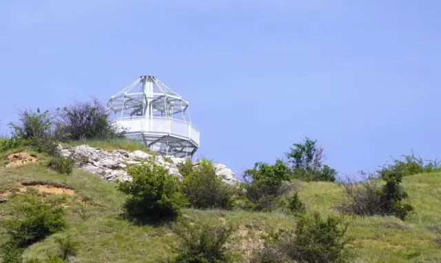 Новая обсерватория переносит жизнь океана в ваш веб-браузер