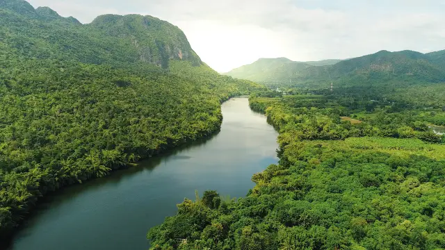 14 проектов «Углеродная бомба» увеличат глобальные выбросы