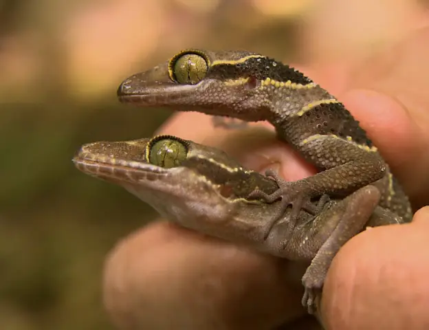 Десятилетие в Америке, потерянное из-за рецессии