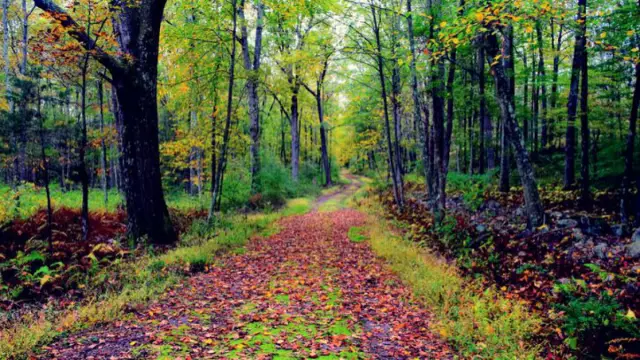 Миллиард голодных людей, правда?