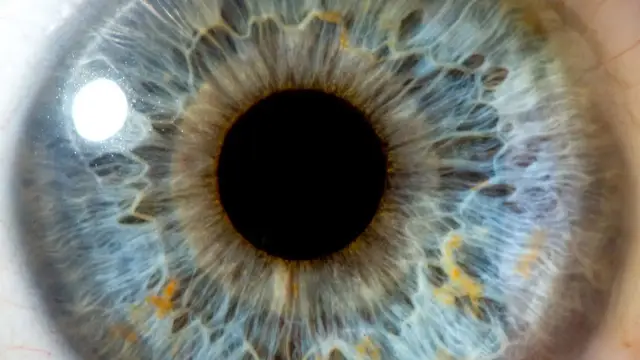 Как далеко назад во времени мы можем заглянуть невооруженным глазом?