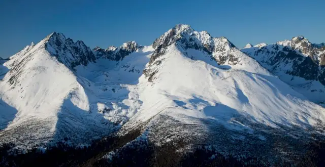 Америка больше не привлекает лучших умов в области физики