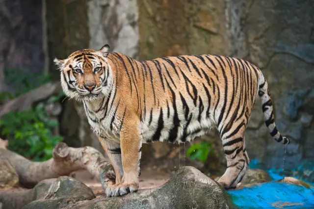 Реальна ли антигравитация? Наука вот-вот узнает