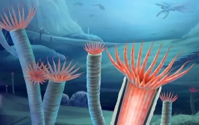 Спросите Итана: почему первые звезды были намного больше, чем даже самые большие сегодня?