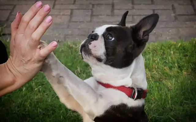 4 научных урока, которые Стивен Хокинг так и не усвоил