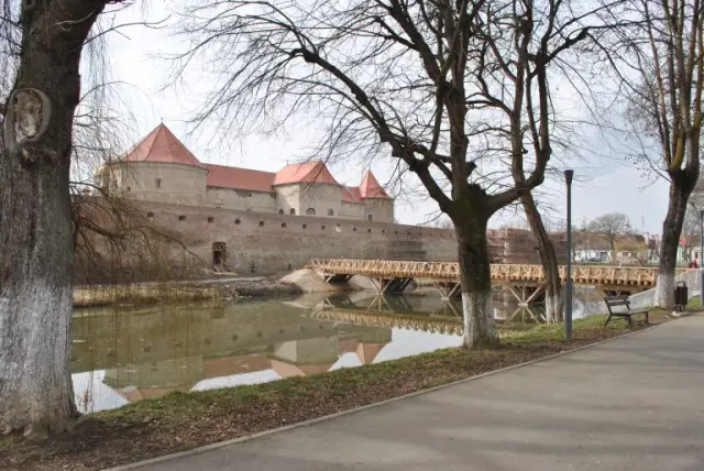 Развлечение выходного дня: Живые мосты Индии