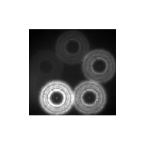 Хаббл фиксирует новые звезды, формирующиеся по отдельности в галактиках за пределами Млечного Пути