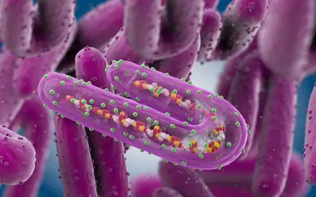 Может ли это быть причиной роста ожирения и диабета?