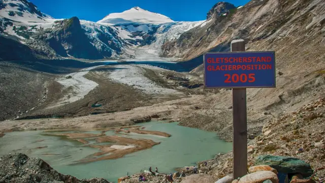 Что мы можем сделать с изменением климата, вызванным коровами?