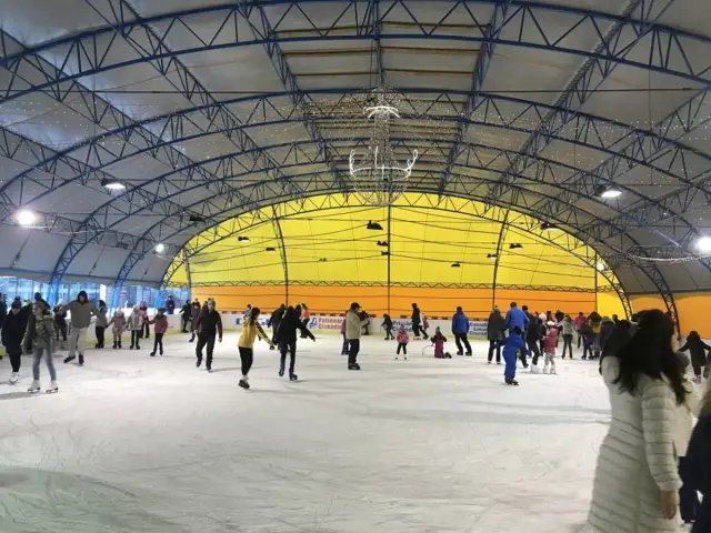 Как стать киборгом для удовольствия и прибыли