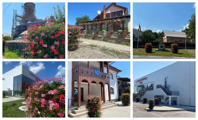 Чемодан с запахом хвои в вашем офисе