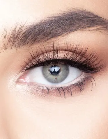 Можно ли запатентовать человеческие гены? Верховный суд для принятия решения