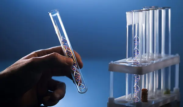 Генетики создают «Bi-Fi» - биологический Интернет