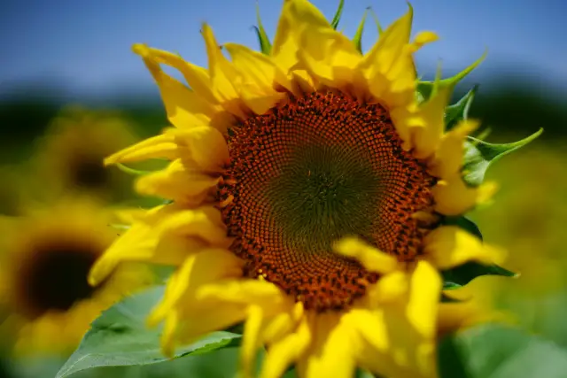 Выявлены новые связи между изменением климата и миграцией людей