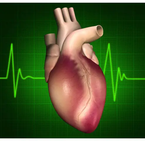 Исследователи связывают ночные смены с повышенным риском проблем с сердцем