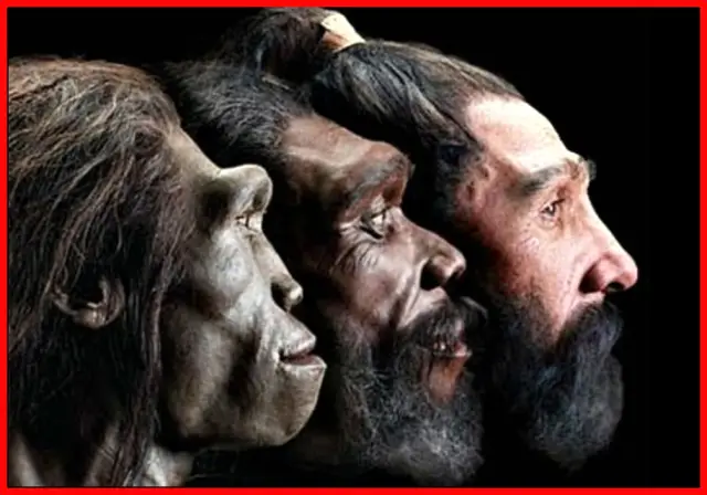 Эволюция человека от распущенности к моногамии: повторяющийся цикл