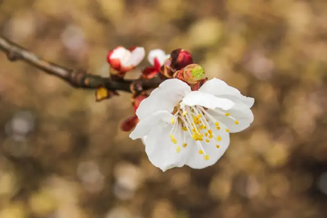 На шаг впереди мегаполисов завтрашнего дня