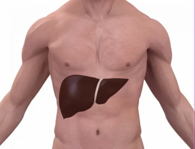 Ученые создали стволовые клетки, иммунные к ВИЧ