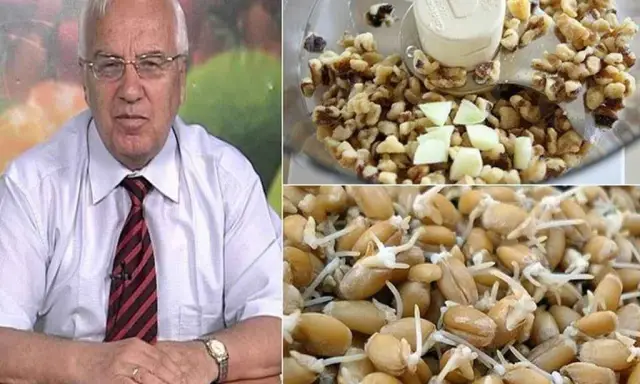 Ученые говорят раковым клеткам выключаться