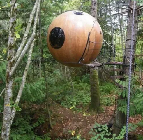 Камеры мертвы, да здравствуют смартфоны