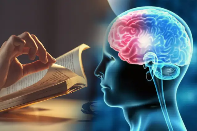 Почему наш мозг иногда дает сбой?