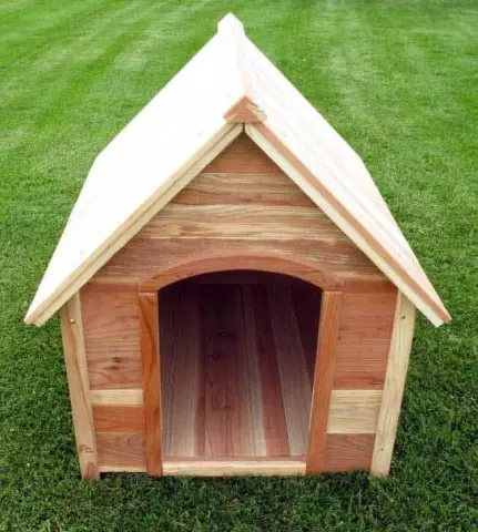 Как соревнование укрепляет память