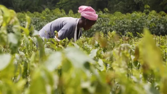 Охота за тьмой & Антиматерия