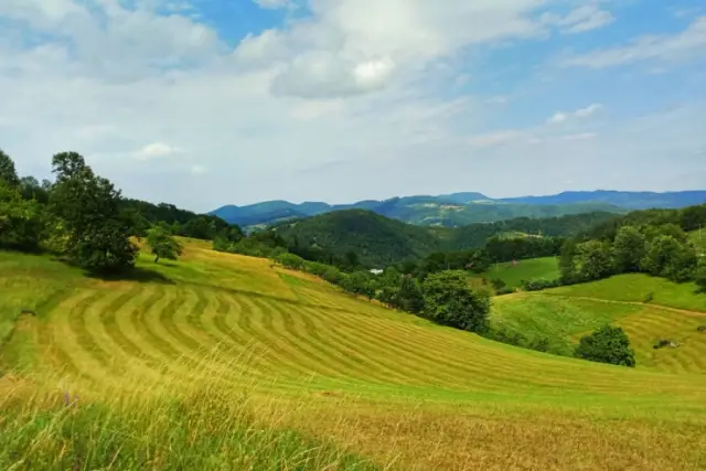 В поисках любви на Facebook